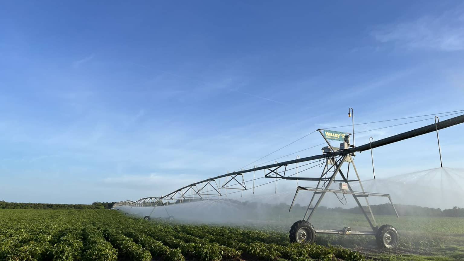 Field Management Dublin Farms Horntown, VA